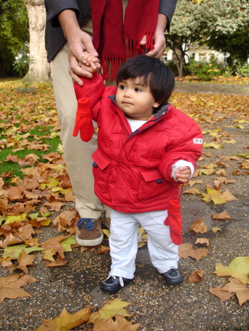 12 Nov autumn 3.jpg